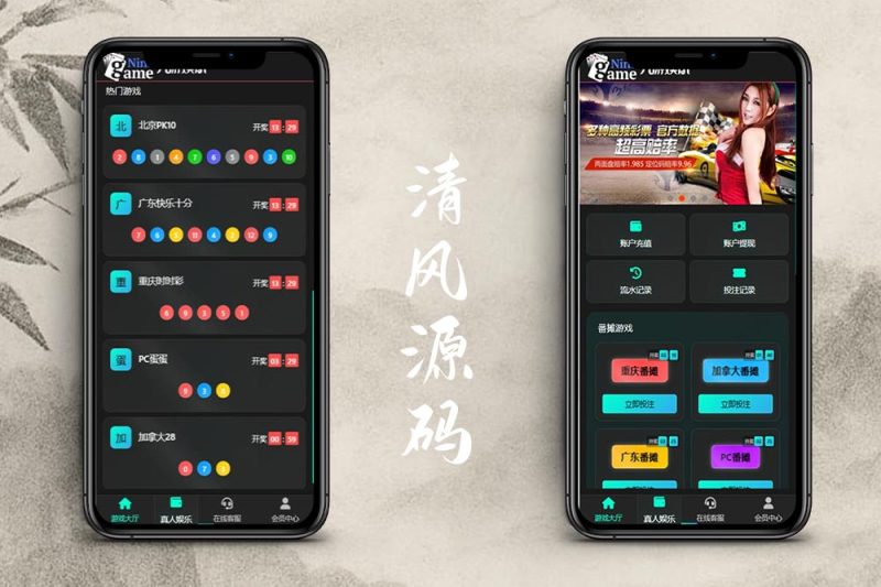加拿大28源码/幸运28源码/九游娱乐源码番摊玩法完美运营版+后台框架UI重构后台可控+后台可控胜率-清风源码