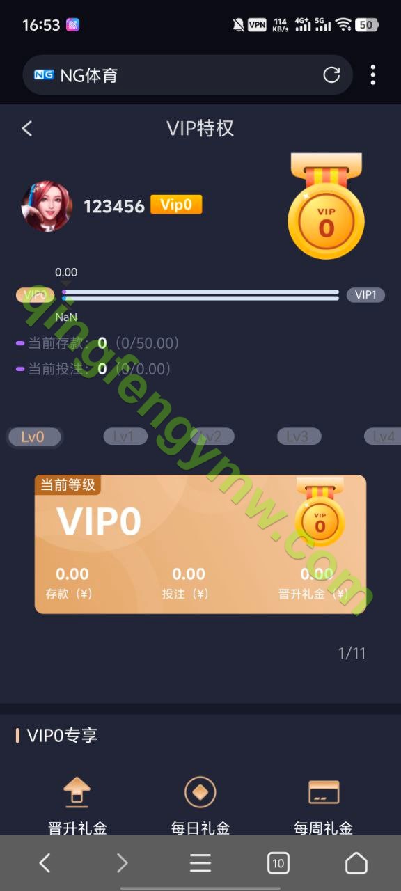 图片[7]-运营级二开修复南宫娱乐城包网系统/南宫28源码/加拿大28源码-清风源码