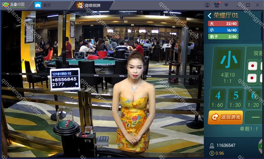 图片[21]-真钱一比一/微星棋牌源码/ 23个子游戏 +真人接口-清风源码