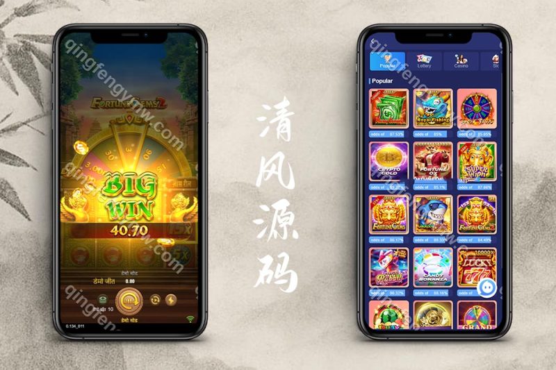 双语言印度综合盘源码/彩票系统/海外综合盘源码后台可控+系统彩+视频搭建教程-清风源码