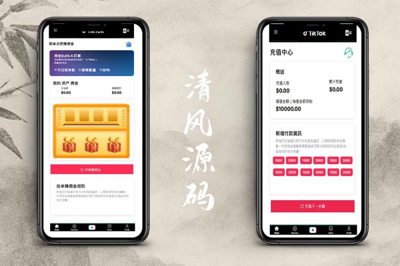 tiktok多语言刷单源码/海外tiktok抢单刷单源码/tiktok刷单系统运营版-清风源码