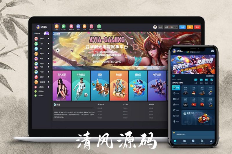 大富二开聚星永恒国际源码/大富彩票源码/修复BUG去后门优化访问速度/完美运营版-清风源码