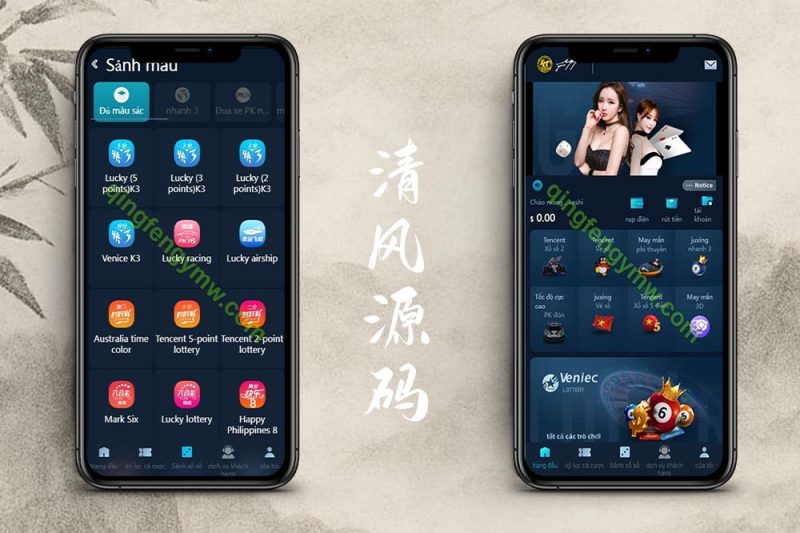 大富彩票源码/二开越南版+英文多语言/大富聚星彩票源码-清风源码