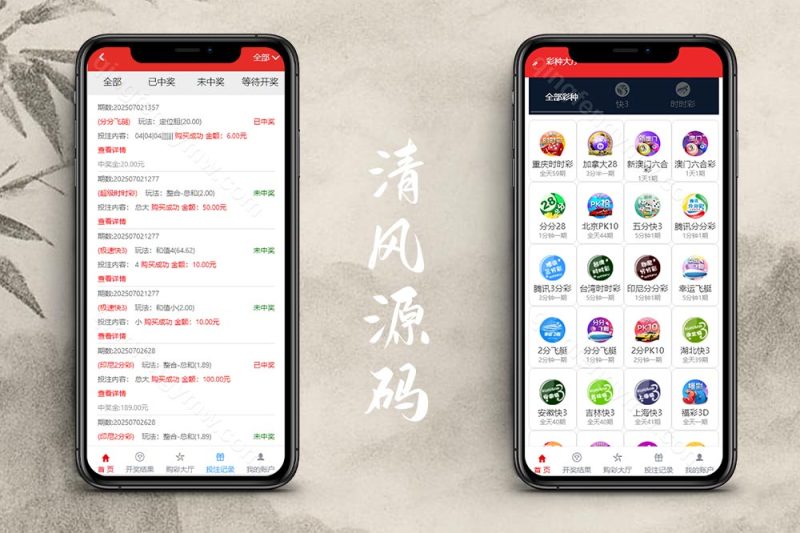 大富818彩票源码完整系统番摊/大富彩票源码/摊路玩法/双玩法加拿大28投注系统/彩种全开源无限加彩-清风源码
