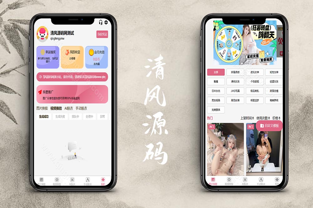 AI换脸源码/AI脱衣源码/手动脱衣源码/视频换脸源码/自定义模版/源码全开源-清风源码