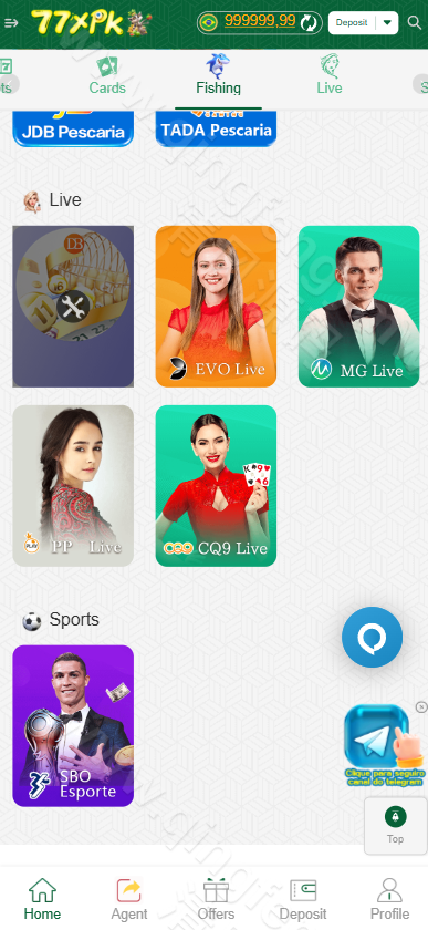 图片[5]-海外PG电子源码/PG源码/PG电子源码/综合盘源码/包网源码/最新版带飞机客服-清风源码