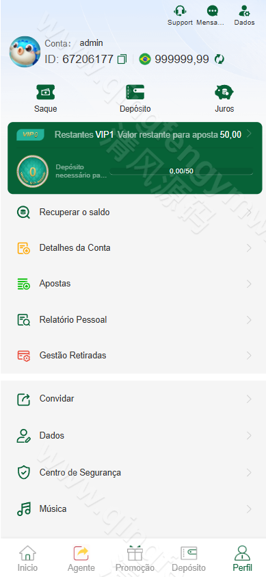 图片[11]-海外PG电子源码/PG源码/PG电子源码/综合盘源码/包网源码/最新版带飞机客服-清风源码