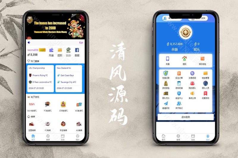 多语言反波胆系统源码/海外反波娱乐城源码/自动采集自动开奖-清风源码