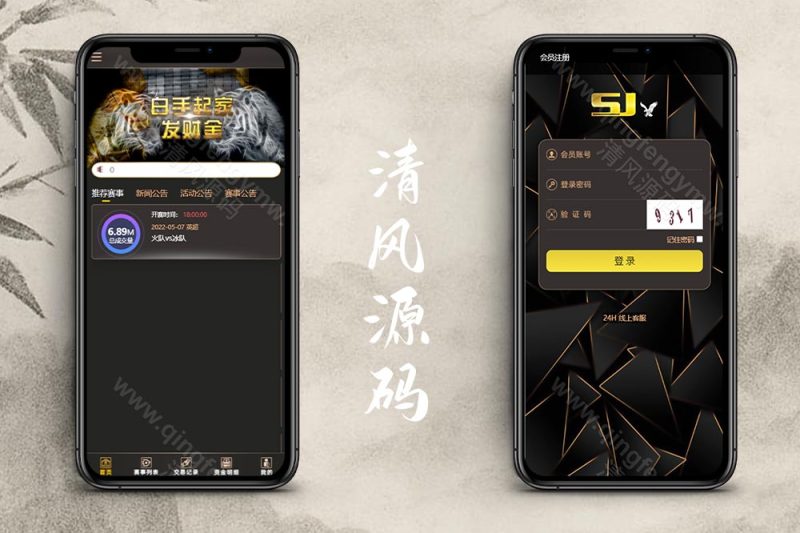 TG淘金网反波胆源码/反波胆5.02系统源码/独立代理后台+纳米数据-清风源码