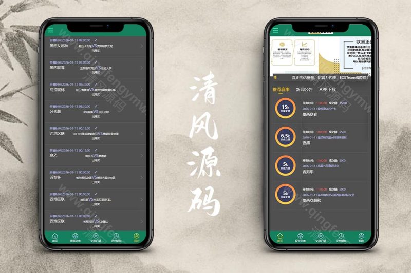 2026最新反波胆源码/ECSTeam多语言足球体育反波胆投注源码/世界杯下注源码/足球比分竞猜源码/前端html+后端PHP/运营版-清风源码