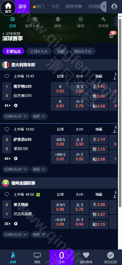 图片[1]-2026最新皇冠信用盘源码/皇冠体育源码/足球篮球体育盘/一键采集/后台可修改注单/新增电竞-清风源码