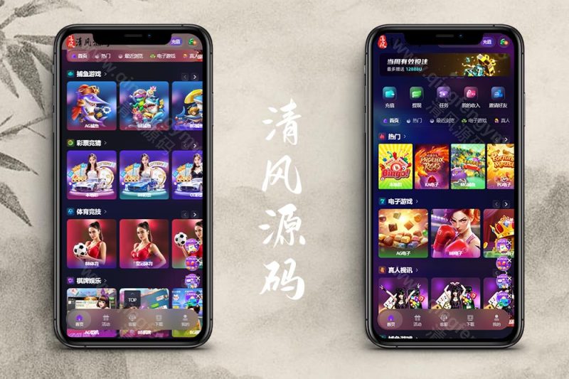 人人娱乐源码｜娱乐城源码｜包网系统｜综合盘源码｜21国语言13种货币-清风源码